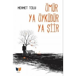 Ömür Ya Öyküdür Ya Şiir