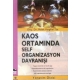 Kaos Ortamında Self Organizasyon Davranışı