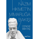 Nazım Hikmet'in Mimarlığa Bakışı