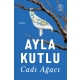 Cadı Ağacı