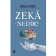 Zekâ Nedir?