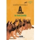 A Takımı İz Sürücü Köpekler 10 - A Takımı ile Veda Şenliği