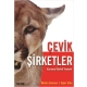 Çevik Şirketler