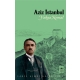 Aziz İstanbul